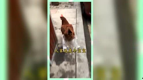 吃瓜群众的娱乐网名